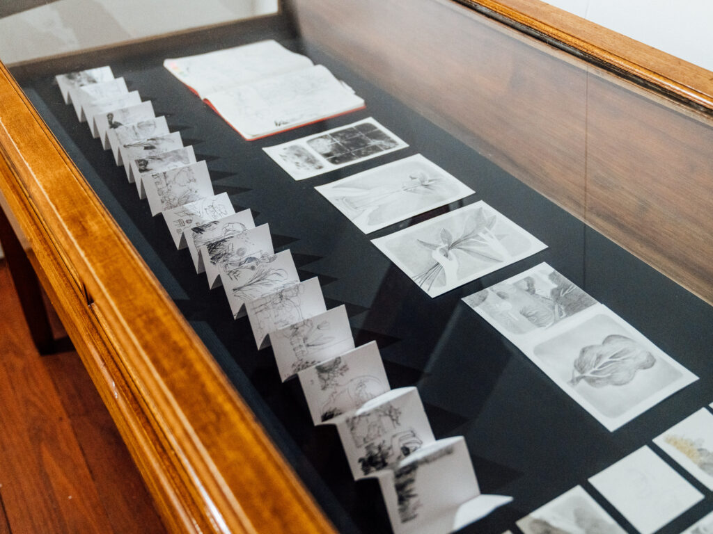 Mawarini’s pencil-on-paper drawings in a low glass cabinet.